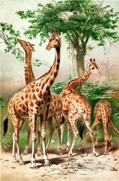 Deer Painting - Animal Giraffe